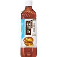 【機能性表示食品】サントリー烏龍茶OTPP 600ml 1セット（48本）