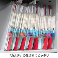 日本ホップス 仕切ガイド ラテラル A4 1色10枚（1袋） DG-A4L01 1袋（10枚入）