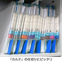 日本ホップス 仕切ガイド ラテラル A4 1色10枚（1袋） DG-A4L02 1袋（10枚入）