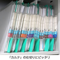日本ホップス 仕切ガイド ラテラル A4 1色10枚（1袋） DG-A4L04 1袋（10枚入）