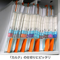 日本ホップス 仕切ガイド ラテラル A4 1色10枚（1袋） DG-A4L05 1袋（10枚入）