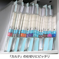 日本ホップス 仕切ガイド ラテラル(パステルブルー)A4ヨコ 1色10枚(1袋) DG-A4L10 1袋(10枚入)