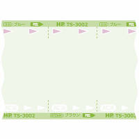 滅菌バッグロールタイプ TS-3006 310mm×100m 日油技研工業