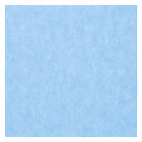 エスラップ３ 450×450mm 1袋（50枚入） 日本メディカルプロダクツ