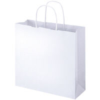 丸紐 クラフト紙手提袋ベーシック 320×320×115 白 1セット（900枚：300枚×3箱）  オリジナル