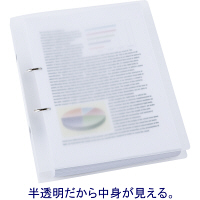 リングファイルD型2穴　A4タテ　背幅41mm　10冊　ハピラ　カラバリ　白 オリジナル
