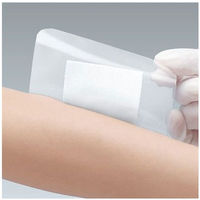 アルケア マルチフィックス・パッド 3号（80×100mm） 16922 1箱（20枚入）