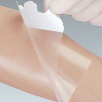 アルケア　マルチフィックス　2号（60×70mm）　16381　1箱（100枚入）