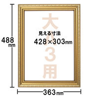 アートプリントジャパン 大A3額金ケシ 1セット（5枚）
