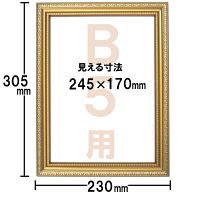 アートプリントジャパン B5額金ケシ 1セット（5枚）