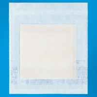 蒸れにくい吸収保護パッド　7.5×20cm 19078　1箱（30枚入）  オリジナル