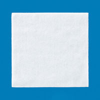 イワツキ アルファーゼ 25×25cm 002-20253 1包（200枚入）