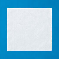 イワツキ アルファーゼ 30×30cm 002-20254 1包（200枚入）