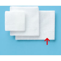 滅菌ケーパイン得々 L 1箱（24枚入） 川本産業