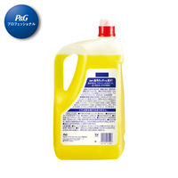 ジョイクイック 業務用5L 1個 食器用洗剤 P&G