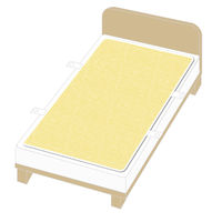 アイリスオーヤマ 洗える防水シーツ 繰り返し使える 吸水シート 介護 病院 保育園 雨漏り ベッドサイズ 105×200cm BSW-20 １枚