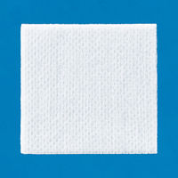 エフスリィー ファイントリート 10×10cm 542040120