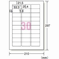 エーワン（A-one）ラベルシール 表示・宛名ラベル マット紙 レーザー 封筒 シール ステッカー A4 30面  500シート 徳用 31147