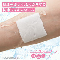 skinix エアウォールふ・わ・り No.100 100mm×12m MA-E100-FT 1巻（防水フィルムロール）