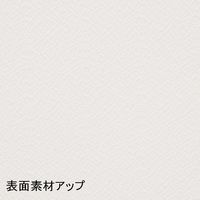 【アウトレット】トーカイスクリーン MSパネル スロープタイプ オフホワイト MS-slopeOW 1枚（取寄品）