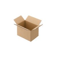 【60サイズ】現場のチカラ エコノミータイプ 軽梱包用ダンボール 外寸：幅250×奥行180×高さ163mm 1セット（60枚：20枚×3） オリジナル