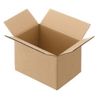 【60サイズ】現場のチカラ エコノミータイプ 軽梱包用ダンボール 外寸：幅250×奥行180×高さ163mm 1セット（120枚：20枚×6） オリジナル