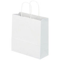 丸紐クラフト紙手提袋薄型エコノミー260×280×100 白 1箱（300枚：50枚×6袋）