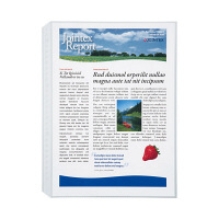 ビュートン　クリヤーブックポケット　A4　CBP-A4-50　（直送品）