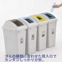 【アウトレット】リス カラー分別ダスト ゴミ箱 スリム 47L ビン・カン用 ライトグリーン 1個