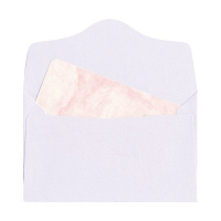 菅公工業 洋封筒 ヨ-100 名刺型 白 10枚 郵便番号枠なし 接着テープ無（直送品）