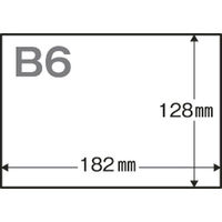 アスクル領収証用紙 B6 白色 無地 1箱（1000枚入）  オリジナル