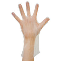 ファーストレイト　LDPEグローブ　片エンボス　クリア　ポリエチレン　LLサイズ　FR-869　1箱（200枚入）（使い捨てグローブ）