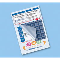 サンワサプライ　貼り直しができる目隠しシール（2面付）90×68mm　JP-HKSEC11　1冊（20枚入）（直送品）