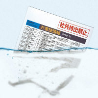 サンワサプライ 水に溶ける用紙 210×297mm JP-MTSECA4 1冊（10枚入）（直送品）