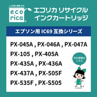 エコリカ　リサイクルインク　ECI-E69C　ICC69対応   1個