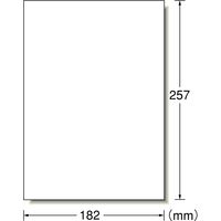 エーワン（A-one）フリーラベルワイド シール ステッカー  B5 ノーカット 500シート 徳用 06195