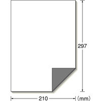 エーワン（A-one）ラベルシール 下地が隠せて透かしても読めない プリンタ兼用 封筒 シール  A4 ノーカット 12シート  31659