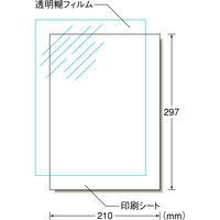エーワン（A-one）ラベルシール 自分で作るデカールシール インクジェット シール ステッカー A4 透明 ノーカット 1セット  81022