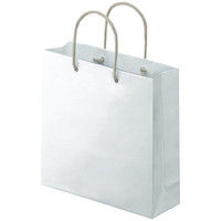 アスクル 樹脂カバー付き 手提げ紙袋 ホワイト S 1袋（10枚入）  オリジナル