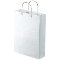 アスクル 樹脂カバー付き 手提げ紙袋 ホワイト L 1袋（10枚入）  オリジナル