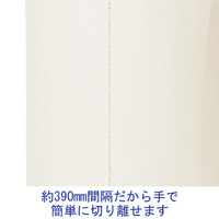 ボーガスペーパー 色指定なし ミシン目あり 幅538mm×長さ350m巻 DABS350 1巻 ダイトス ハピラ