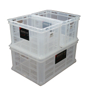 天馬 ワークイン L クリア 4904746425287 1箱(9個入)