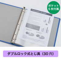 キングジム　差し替え式クリアーファイル（貼り表紙）　背幅38mm　TH-139Ｈアオ　1冊