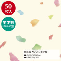 ササガワ 包装紙 カプリス 半才判 49-1703 1袋(50枚入)