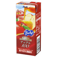 バヤリース ホテルブレックファースト アップル100 紙パック 200ml 1セット（48本）