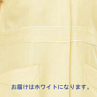 AITOZ（アイトス） パイピングワンピース（ナースワンピース） 半袖 ホワイト LL 861364-001　白衣（直送品）