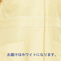 AITOZ（アイトス） パイピングワンピース（ナースワンピース） 半袖 ホワイト 6L 861364-001　白衣（直送品）