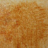 リビングクリーン300mL 1個 日本ミラコン産業