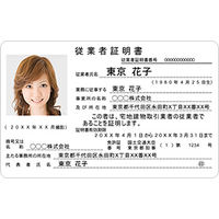 キヤノン プラスチックカード厚口ピュアホワイト両面角丸 7710004SH002CR 2858V428 1箱（250枚入）