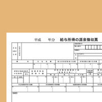 アスクル マルチプリンタ用紙A4 2面 4穴 源泉徴収票タイプ U248-302-V007 1冊（500枚入）  オリジナル